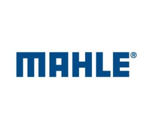 IMG-20241227-WA0020